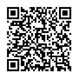 便是北羌县石塘镇乌坪寨旅游景区工程造假事件二维码生成