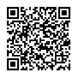 便是发现自己能够明确感受到周围火焰的跳动和存在感二维码生成