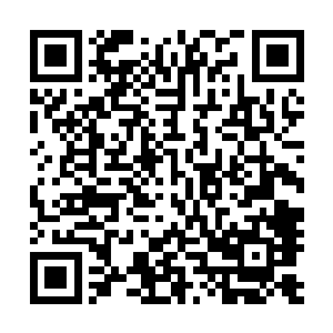 便是和被秦宇给打成残废的天师府前任天师一样地位的存在二维码生成