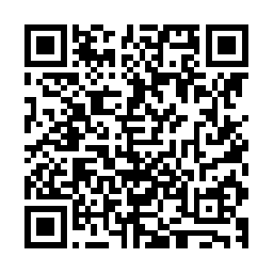 便是在上千件法宝中选出的那件带有类似龙脊气息的墨色坎肩二维码生成