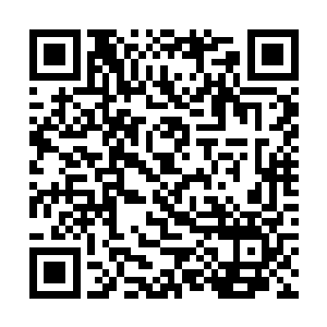 便是在宣告自己愿意舍弃生命和尊严来保谢无花一命二维码生成