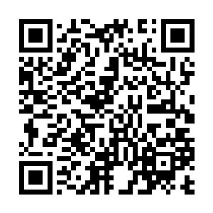 便是对整个辖地的土地及户籍进行了一轮大致摸排二维码生成