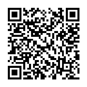 便是导致露天看守大车的护卫离奇互相残杀的原因二维码生成