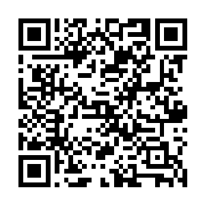 便是小熊底下的四个弟弟妹妹也知道大哥手里留不住钱二维码生成