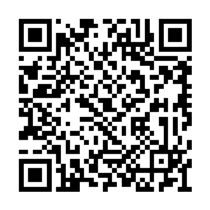便是小胖子一伙的那些人也终于脸色好转了不少二维码生成
