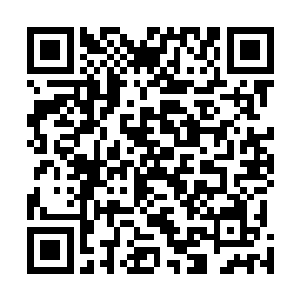 便是当年以卫烈帝的精血魂魄铸造出来的神器吞蛇的下落二维码生成