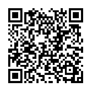 便是我天运国七玄武府派出参加总宗会武的弟子了二维码生成