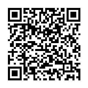 便是方运曾经读过的诗词文章以及相关的注疏文集二维码生成