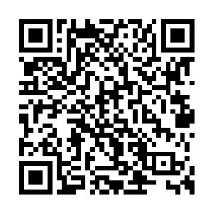 便是有人认出了叶然周围围绕着的力量是什么了二维码生成