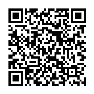 便是看到那个年纪和他相仿的军装小女孩俏脸布满震惊二维码生成