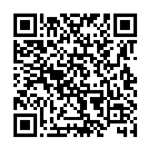 便是看到那暹帝陵所在的岛屿完完全全龟裂坍塌起来二维码生成