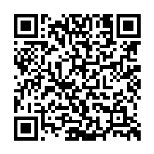 便是看见了面色复杂的雷星明正恶毒地看着自己二维码生成