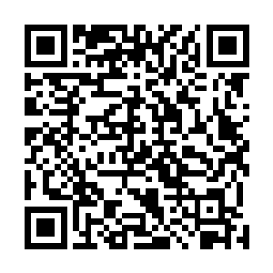 便是被一个牛头人身的强者以八万五千血灵丹的价格买走二维码生成