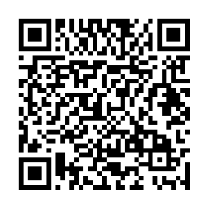 便是被武器时不时散发出来的血煞之气给夺了生机二维码生成
