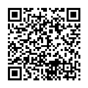 便是诸位龙子凤孙及皇家儿媳妇去给主位上的人拜年二维码生成