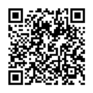 便是跟在那个高同学的身后向着寝室的方向走去二维码生成