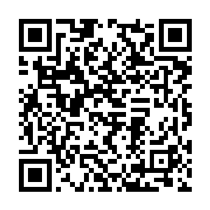 便是转马冲向了后方犹如洪潮一般扑袭过来的敌军二维码生成