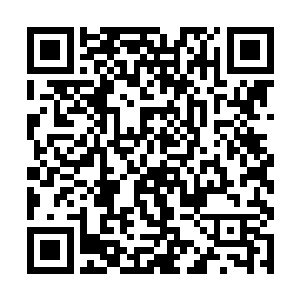 便是这些戌卫前后跟着温晋王跑了两趟明光殿拿人的二维码生成