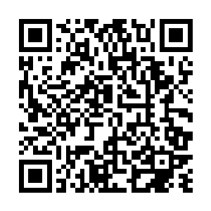 便是连黑手党大佬菲伦特斯都要忌惮他三分的……可是二维码生成