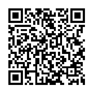 便是那两个会焚日诀的老人和那个用毒的小姑娘二维码生成