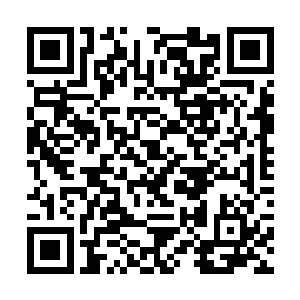 便是院中两口养鱼的大缸便是难得的汉白玉雕琢而成二维码生成