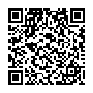 便是青羊宫里最美的几位骄纵道姑都比不得她们一半二维码生成