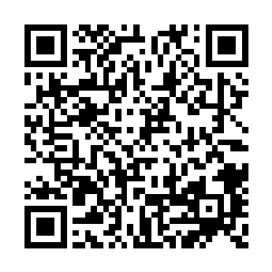 便有一缕沁入心神的温润清凉顺着手掌透体而入二维码生成
