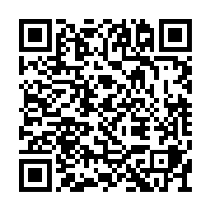 便有数位小黄门手持佛尘急匆匆从西苑往外而去二维码生成