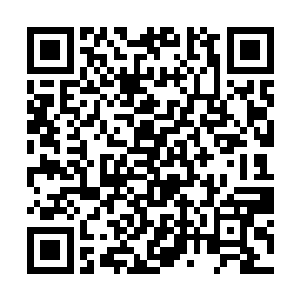 便毫不客气的朝着丁解张口喷出一道水桶粗细的白光二维码生成