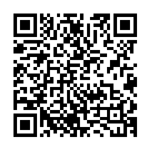 便没有任何失礼地闯入内室或者是隔着帘幕偷看她一眼的行为二维码生成