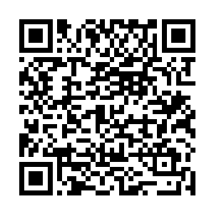 便激荡出两道碧绿的剑芒朝着那些激射而来的黑影斩去二维码生成