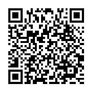 便烧穿了楚旬手心处那足以抵挡绝大多数能量攻击的外骨骼装甲二维码生成
