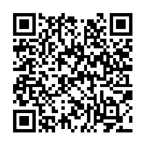 便特地在她床边的黑漆矮几上留了一小碟子蜜果子二维码生成