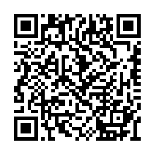 便看到一个老妇人一脸凄楚的从外面走进了公堂二维码生成
