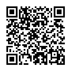 便看到代离的身体已经化为一条黑影悍然冲破那些凸起得冰刺二维码生成