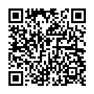 便看到此时出现在自己面前的老者是一个天尊后期二维码生成