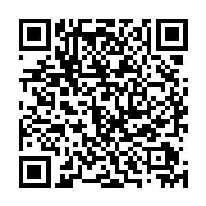 便看着玄日面色凝重的取了银针封住了洛天星身上几处穴道二维码生成
