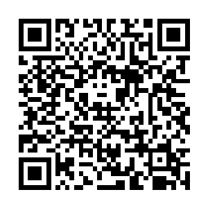 便看见一双清澈无邪的大眼睛有些迷糊地望着自己二维码生成