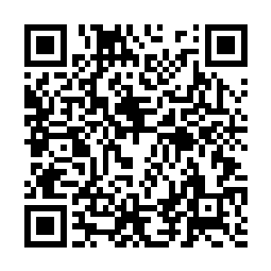 便瞧见父亲正坐在檀木桌边上的雕花椅上批阅公文二维码生成