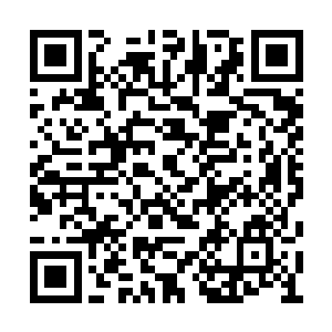 便硬扛下了所有千万里之外远道而来的上古剑气二维码生成
