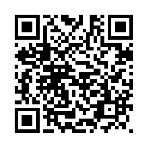 便硬生生的阻挡了一位至尊的去路二维码生成