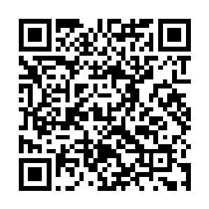 便纷纷朝着身边的一中学生或者芝安市百姓打听了起来二维码生成