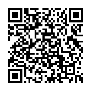 便能够在修炼五行剑术的同时参悟五种奥义之力二维码生成