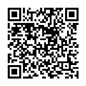 便自身力量和防御依然不是幼龙骷髅所能够抗衡的二维码生成