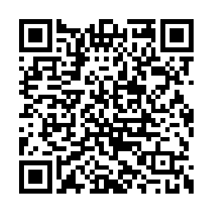 便见一只展翼长度超过百米的巨型白鹤从天而降二维码生成