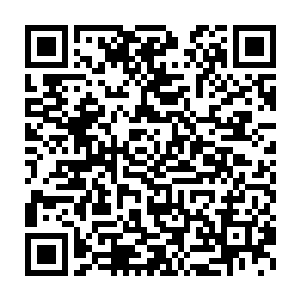 便见一道道金光和青光同时从那白衣僧人和菩提祖师身上激荡而出二维码生成