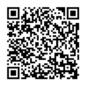 便见他背后那已经化为了白金烈焰的四翼竟然诡异地融入了他的身体之中二维码生成