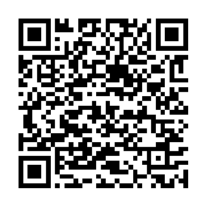 便见到一个圣级大圆满的域外天魔猛然咆哮了起来二维码生成