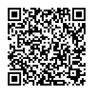 便见到五个修士的神识化作了五道光芒射进了中间的那个五行图案中二维码生成