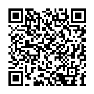 便见到台上的姬媚儿抬起白皙的纤手轻拍了两下二维码生成